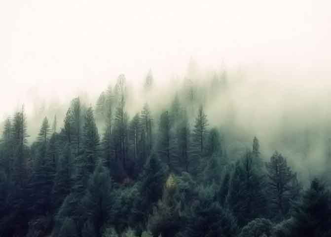 ddos在线攻击工具